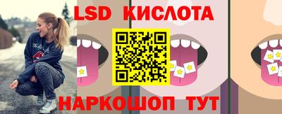 амф Донской