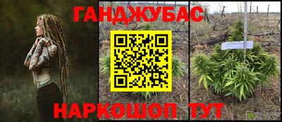 амф Донской