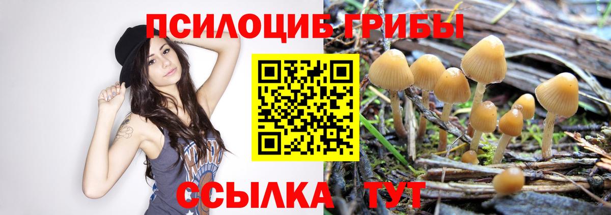 Галлюциногенные грибы ЛСД Майский